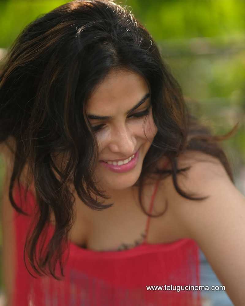 divi stills 250624 02