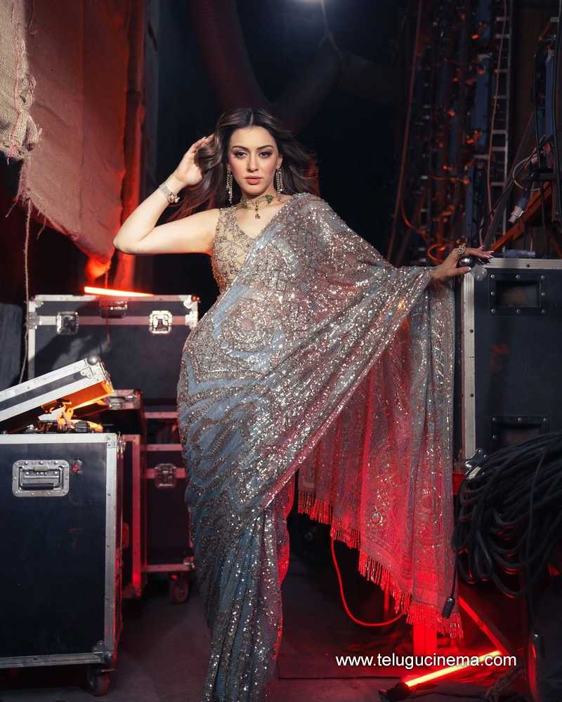 hansika stills 070624 07