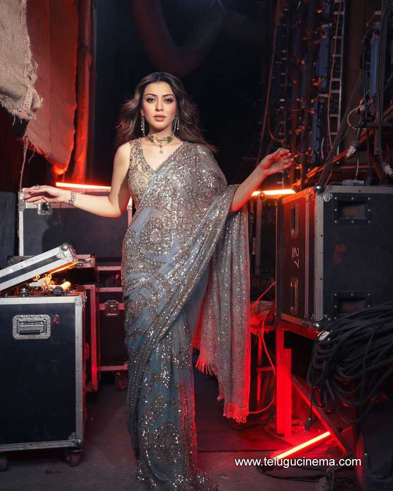 hansika stills 070624 08