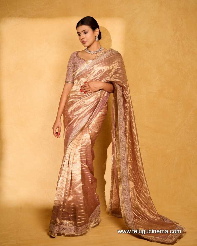 hebhapatel stills 130624 04