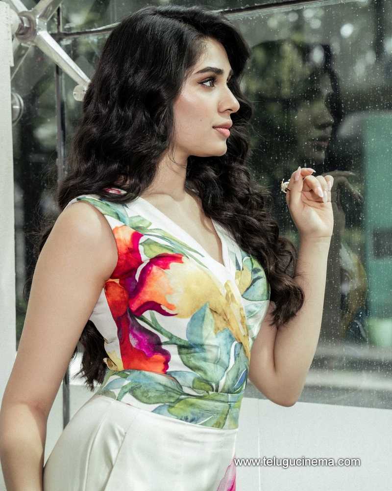 kritishetty stills 270624 07