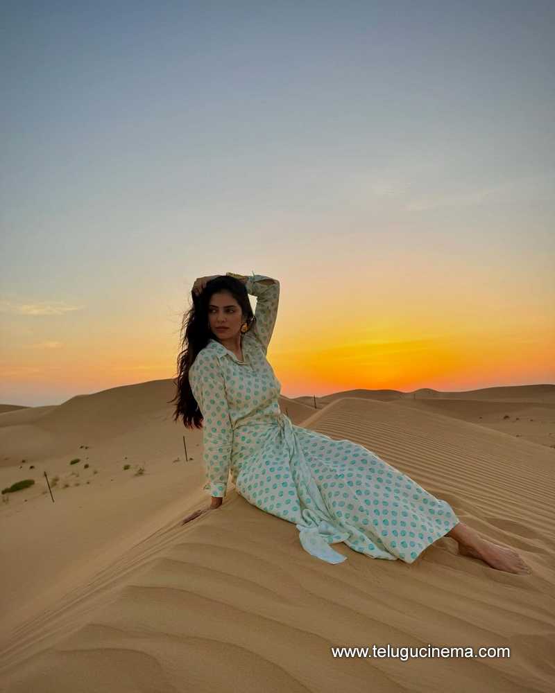 malavika stills 280624 02