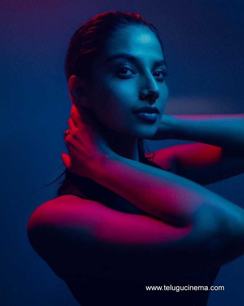 meenakshi stills 070624 02