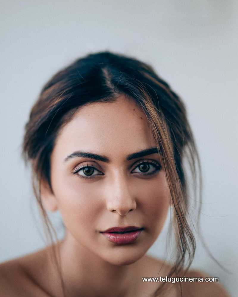rakul stills 250624 02