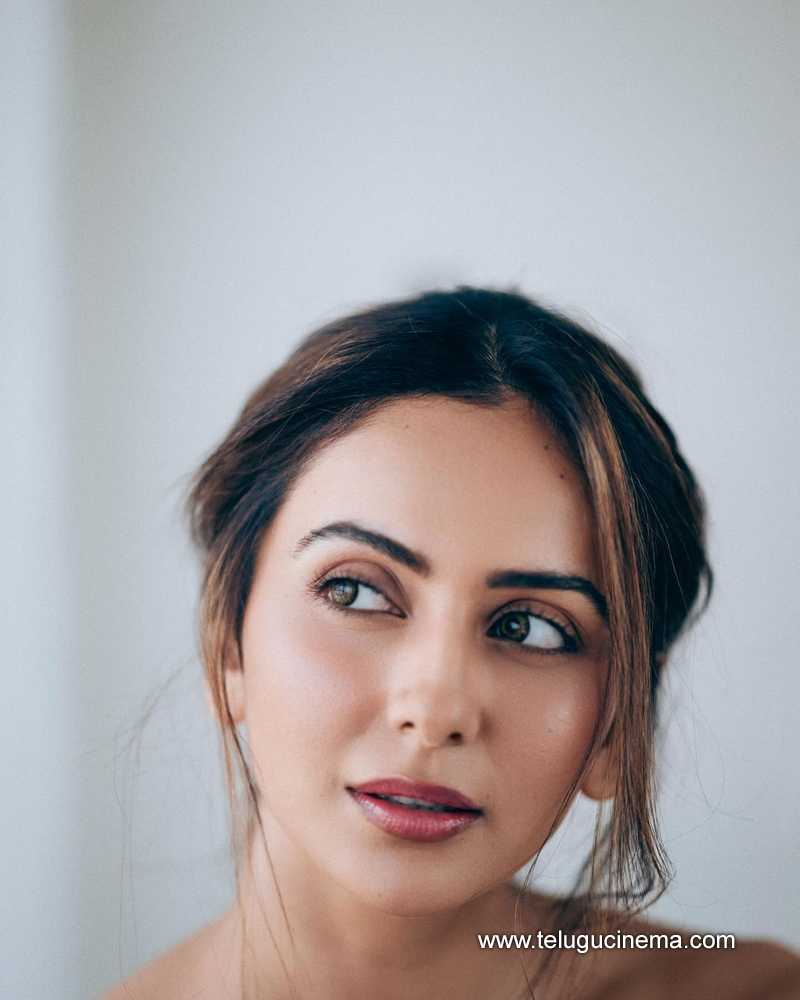 rakul stills 250624 05