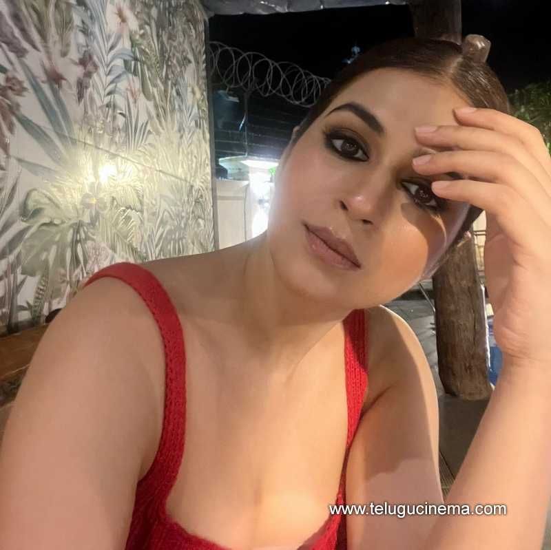 shraddhadas stills 290624 02