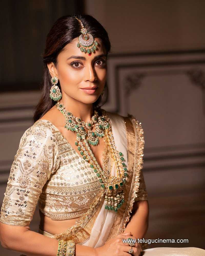shriyasaran stills 190624 07