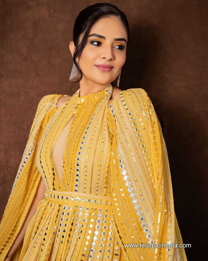 sreemukhi stills 220624 05