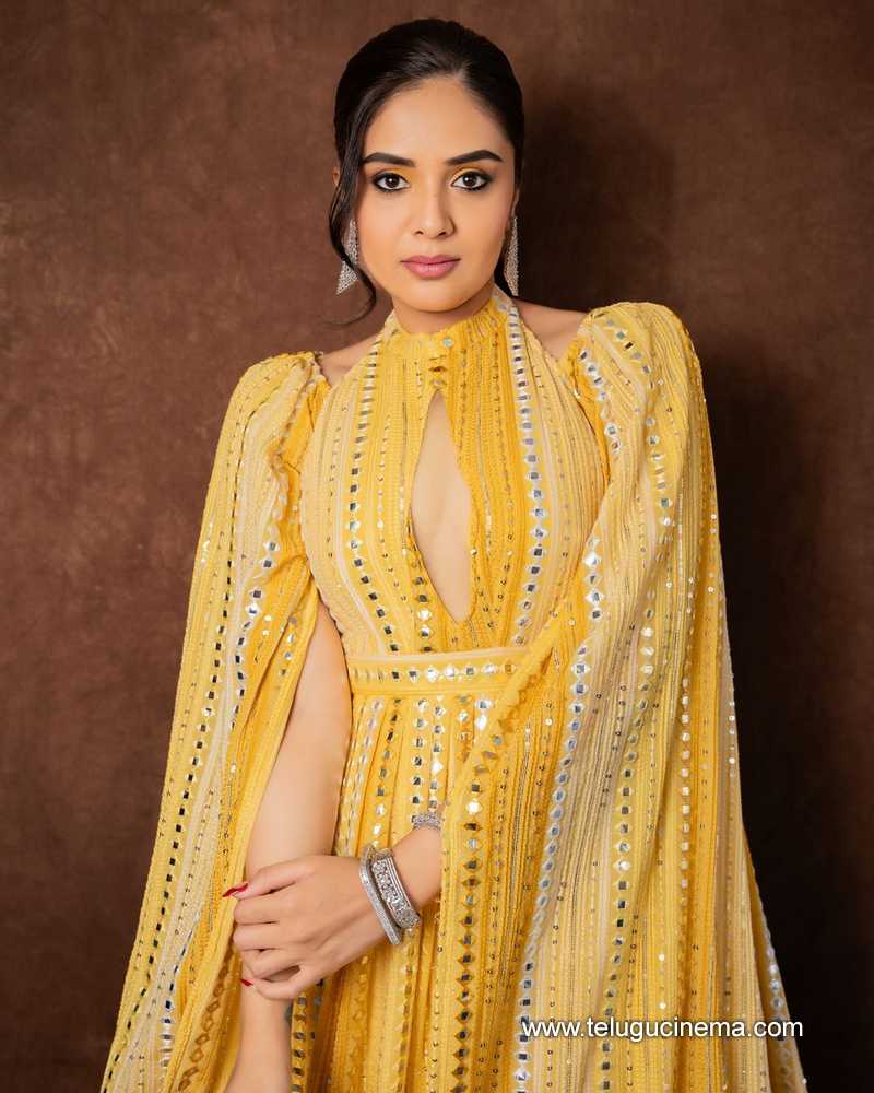 sreemukhi stills 220624 06