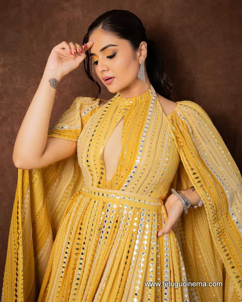 sreemukhi stills 220624 07