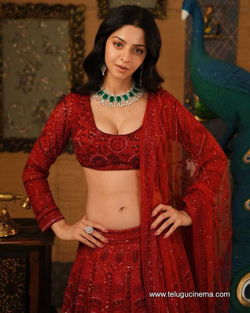 vedhika stills 170624 02