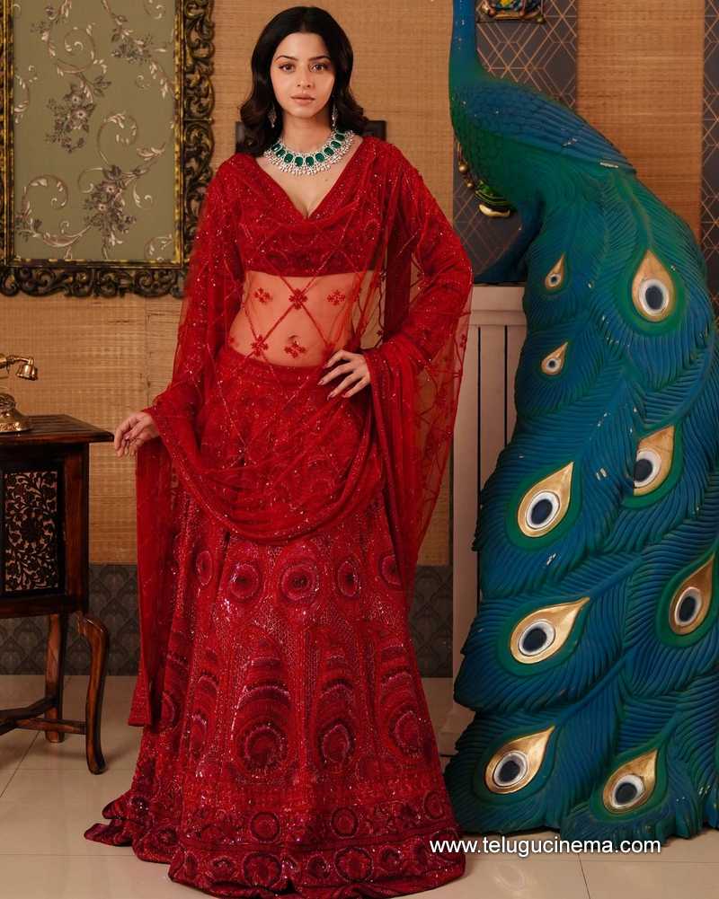 vedhika stills 170624 03