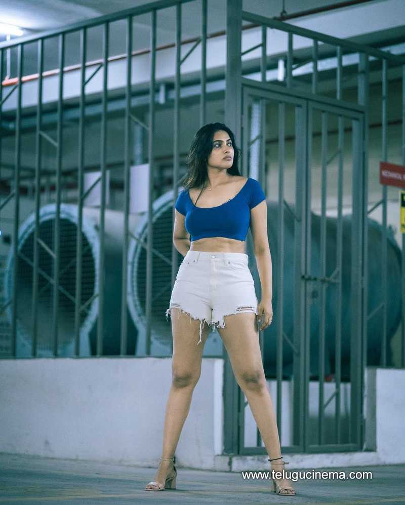 divi stills 310724 02 1