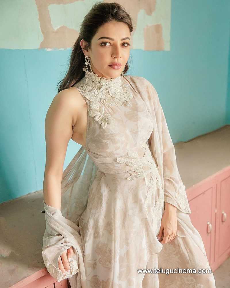 kajal stills 110724 05