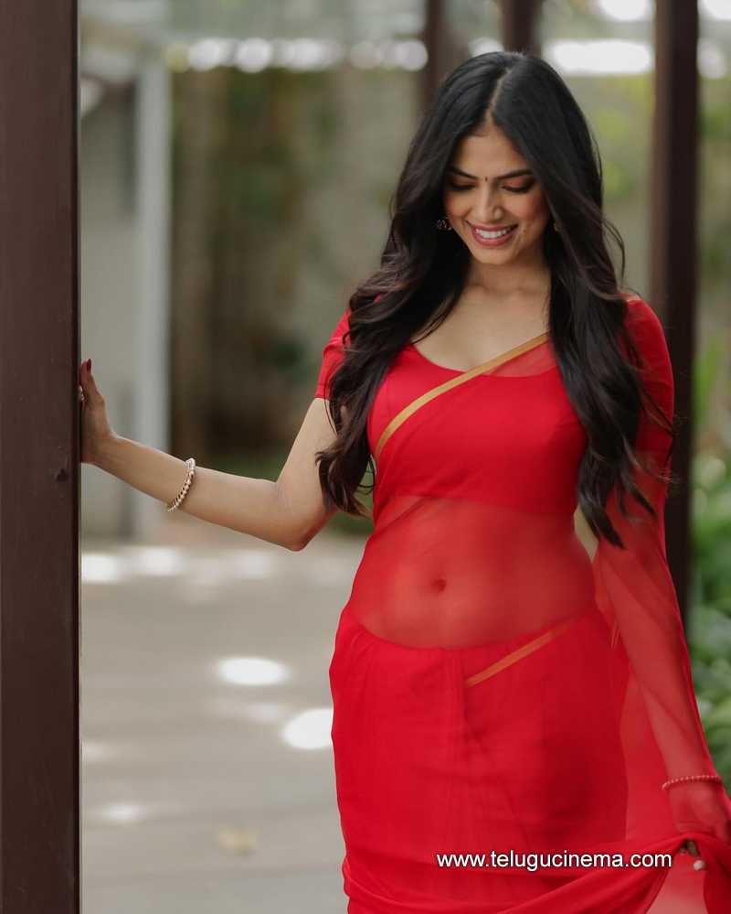 malavika stills 250724 02
