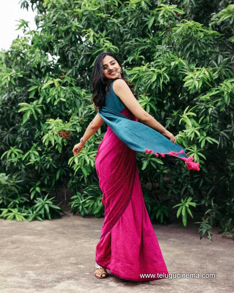 meenakshi stills 050724 03
