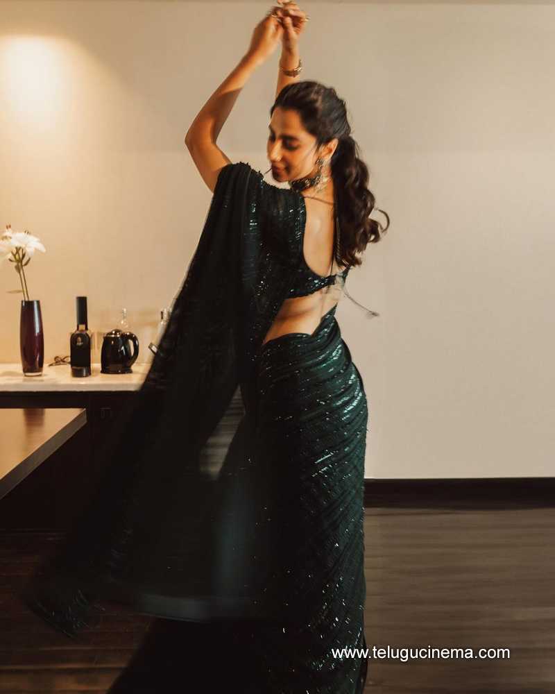 meenakshi stills 310724 05