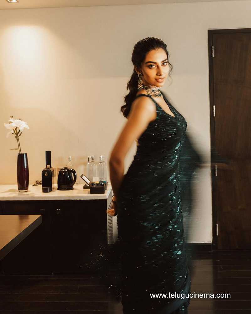 meenakshi stills 310724 06