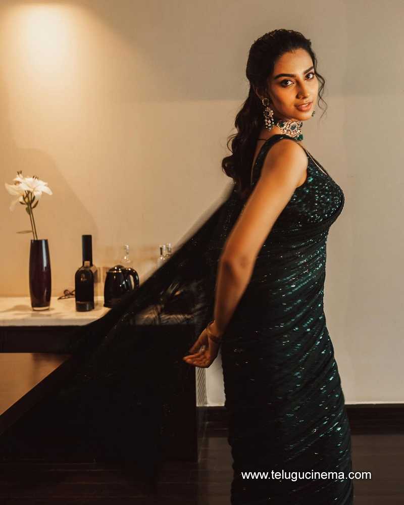 meenakshi stills 310724 07
