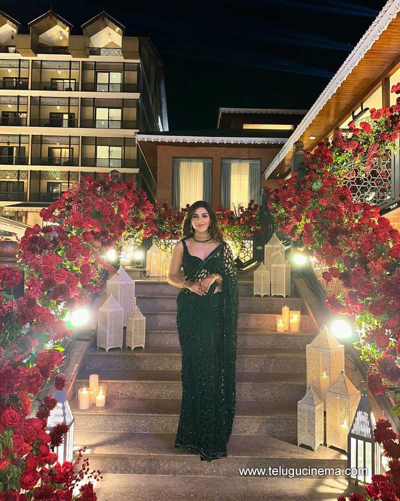mehreen stills 130724 05