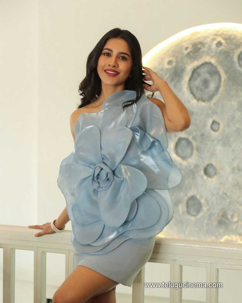 nabhanatesh stills 310724 03