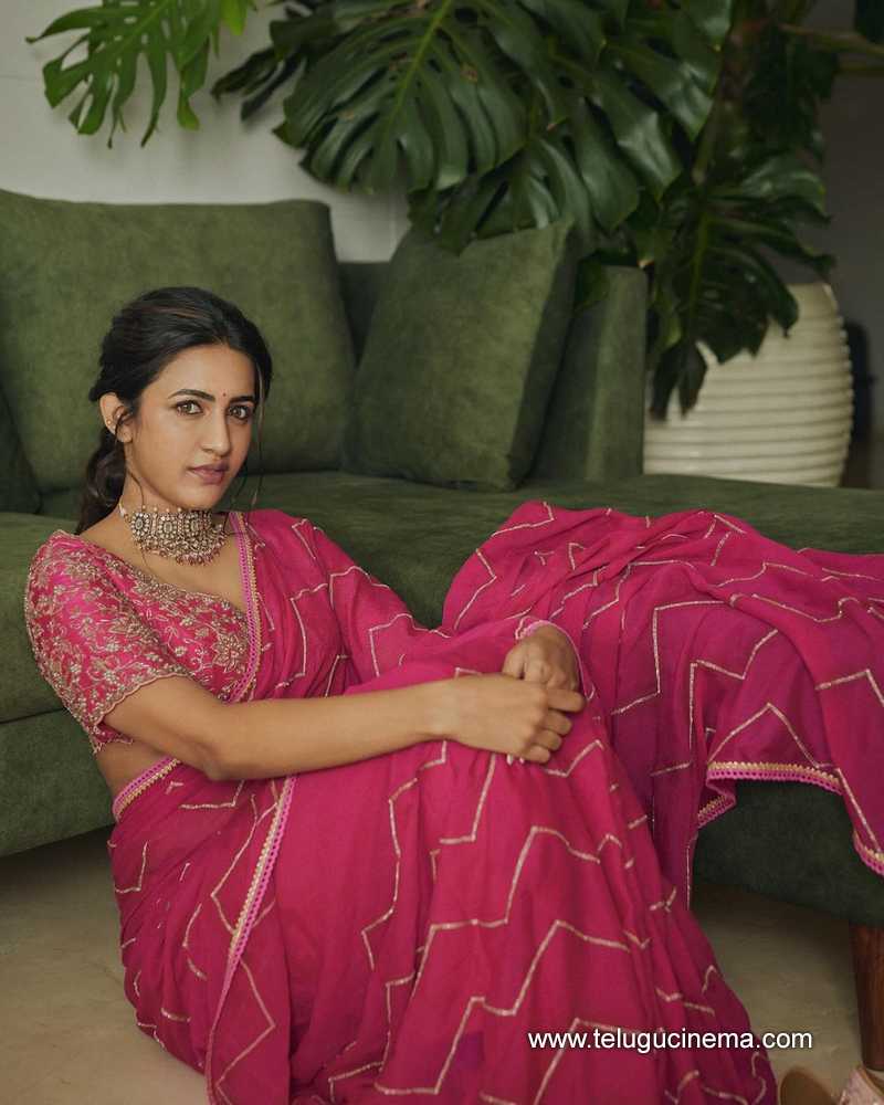 niharika stills 280724 03