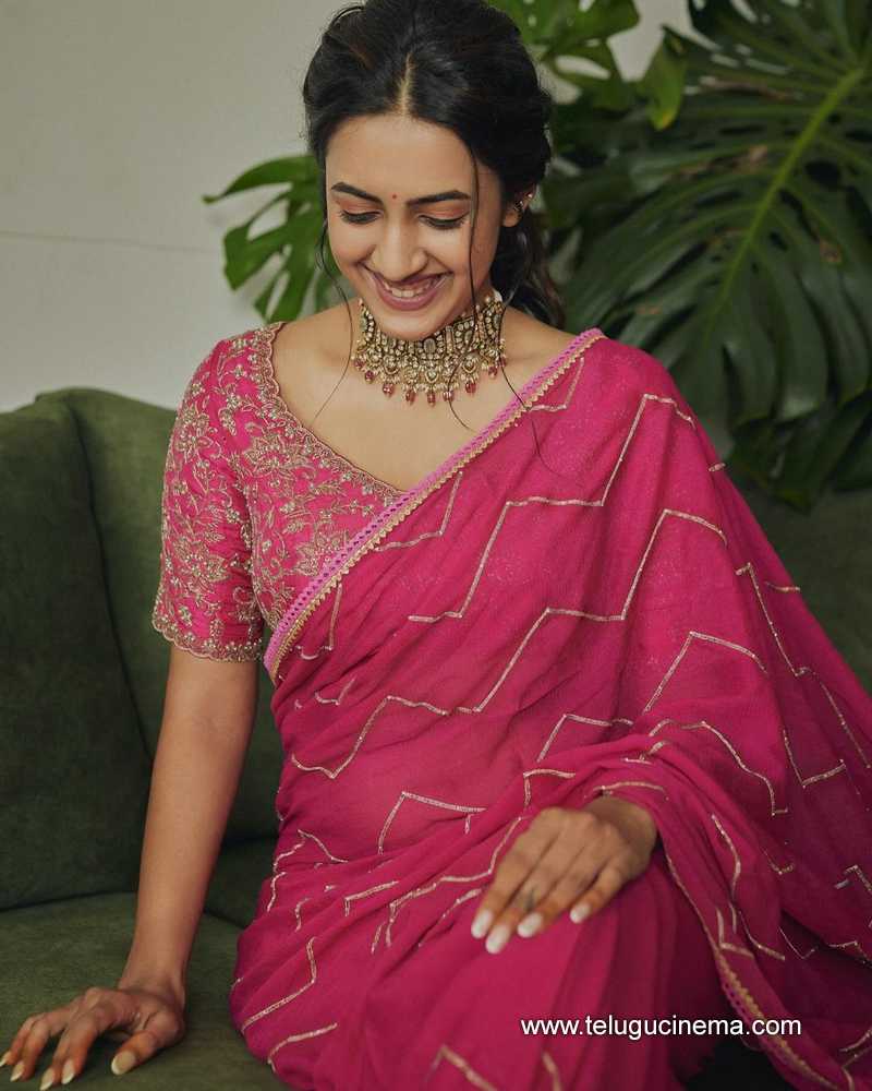 niharika stills 280724 04