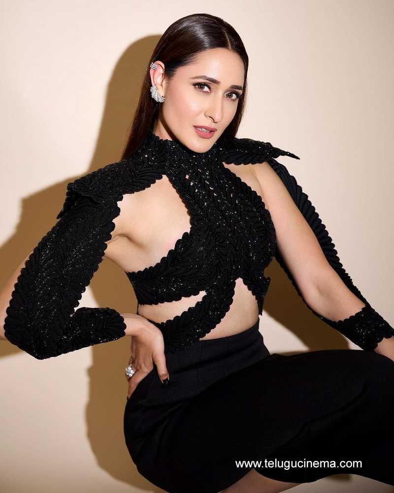 pragya stills 180724 03