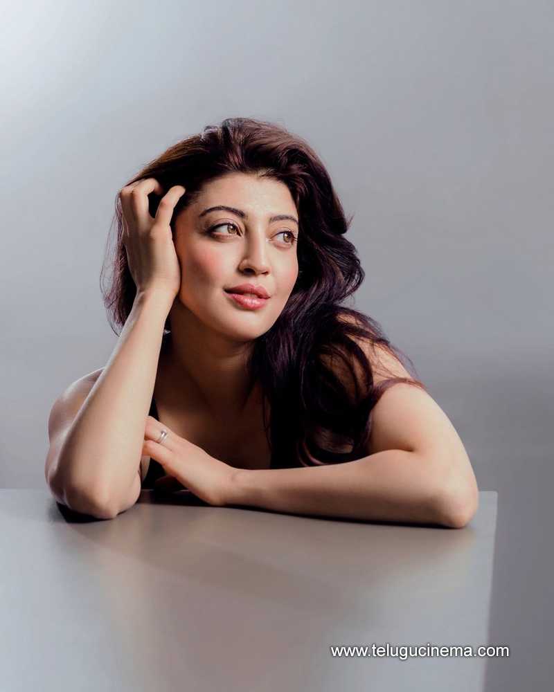 pranitha stills 220724 04