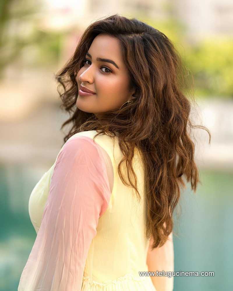 pujitha stills 280724 03