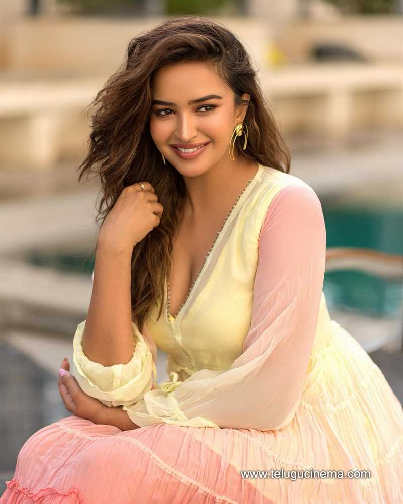 pujitha stills 280724 04