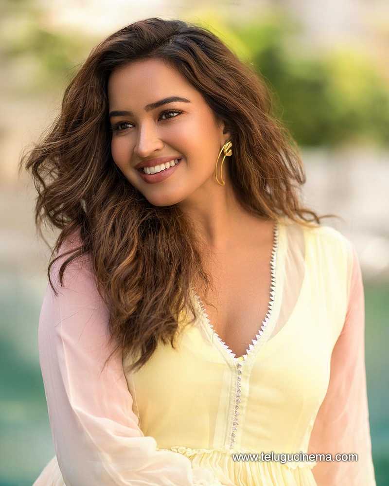 pujitha stills 280724 06
