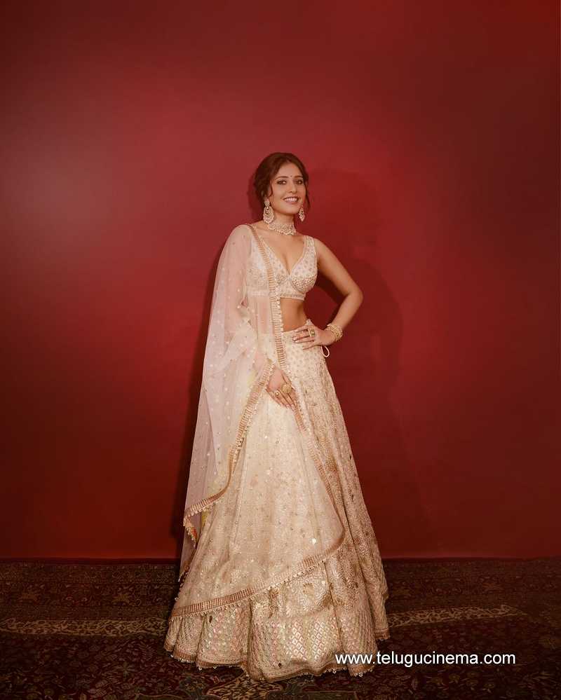 raashii stills 130724 10