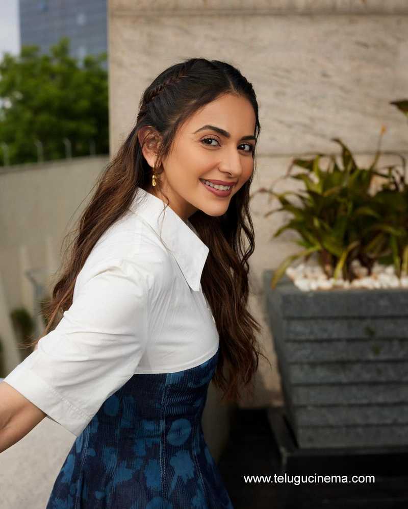 rakul stills 100724 02
