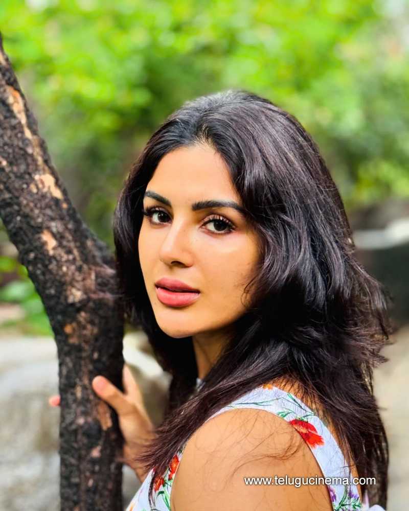samyuktha stills 260724 04