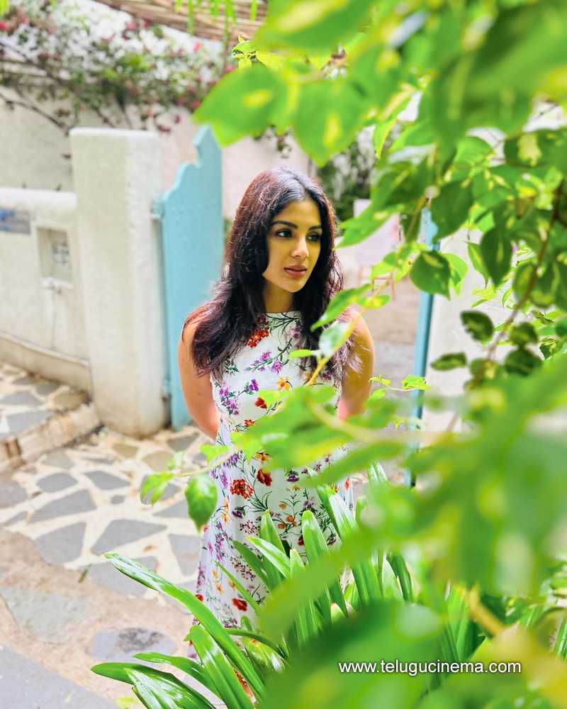 samyuktha stills 260724 06