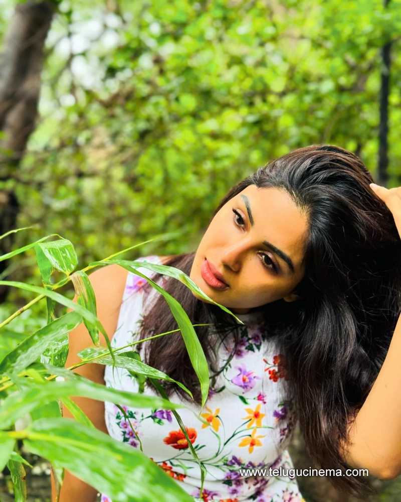 samyuktha stills 260724 07