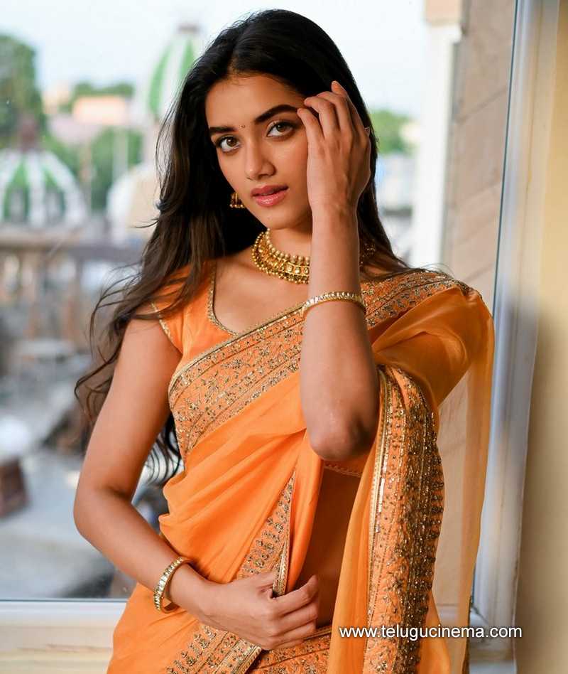 Bhagyashri Borse in Saree