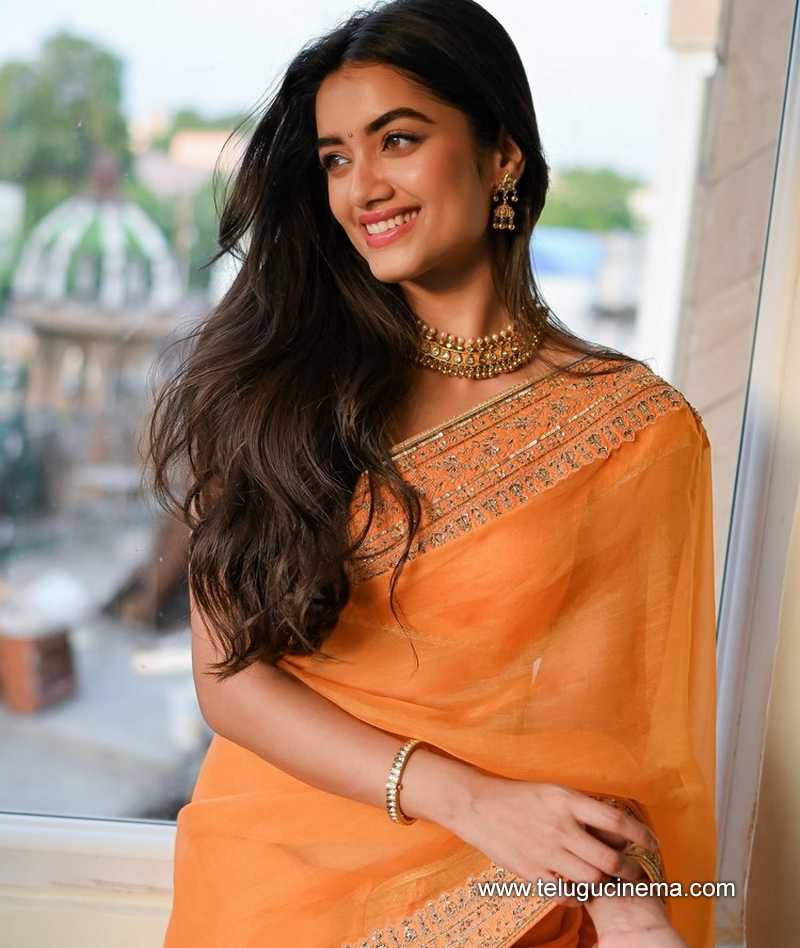 Bhagyashri Borse in Saree