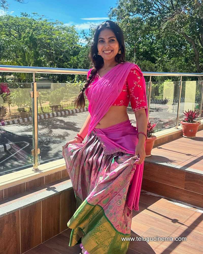 divi stills 270824 02