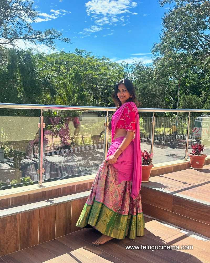 divi stills 270824 04