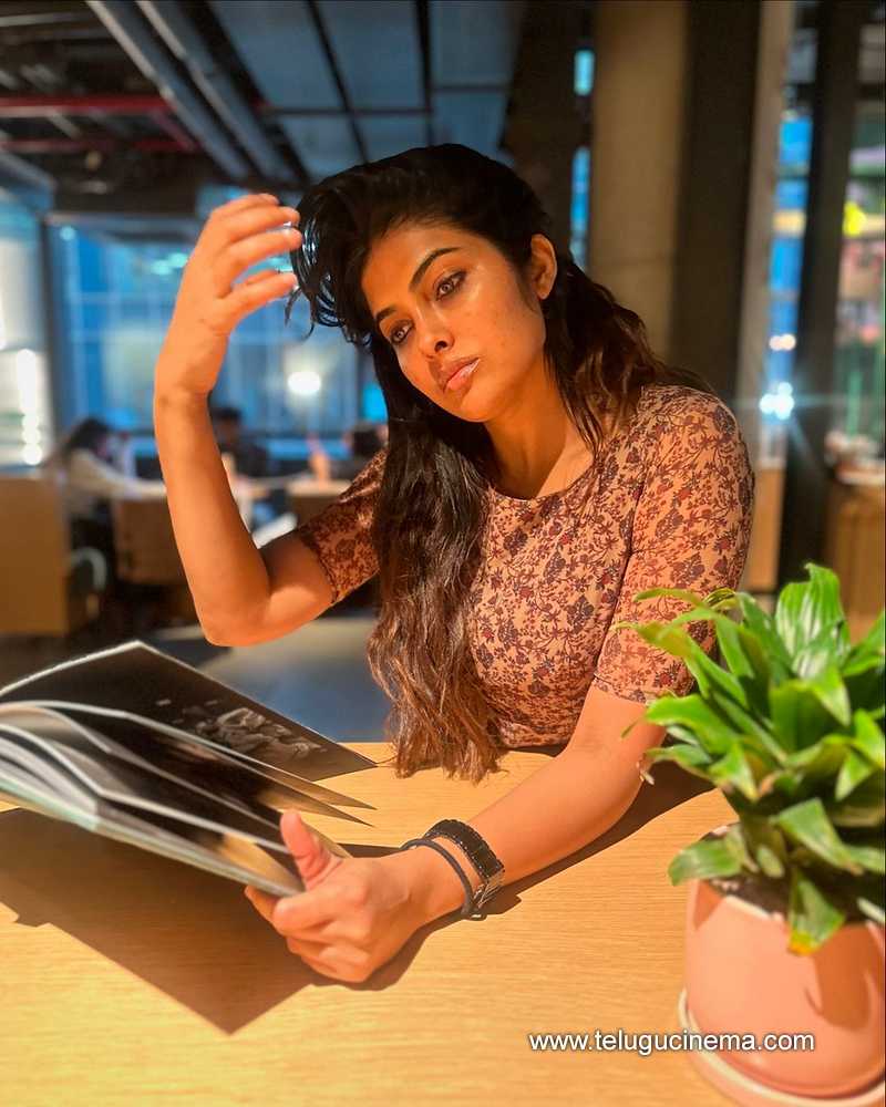 divi stills 290824 03