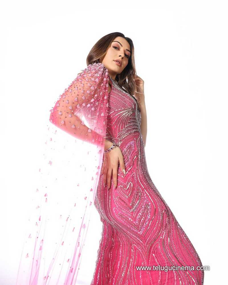 hansika stills 080824 08