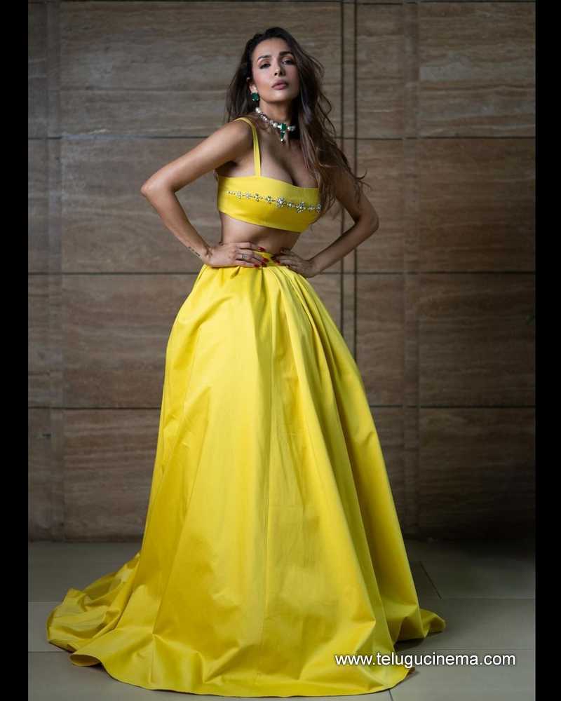 malaika stills 300824 09