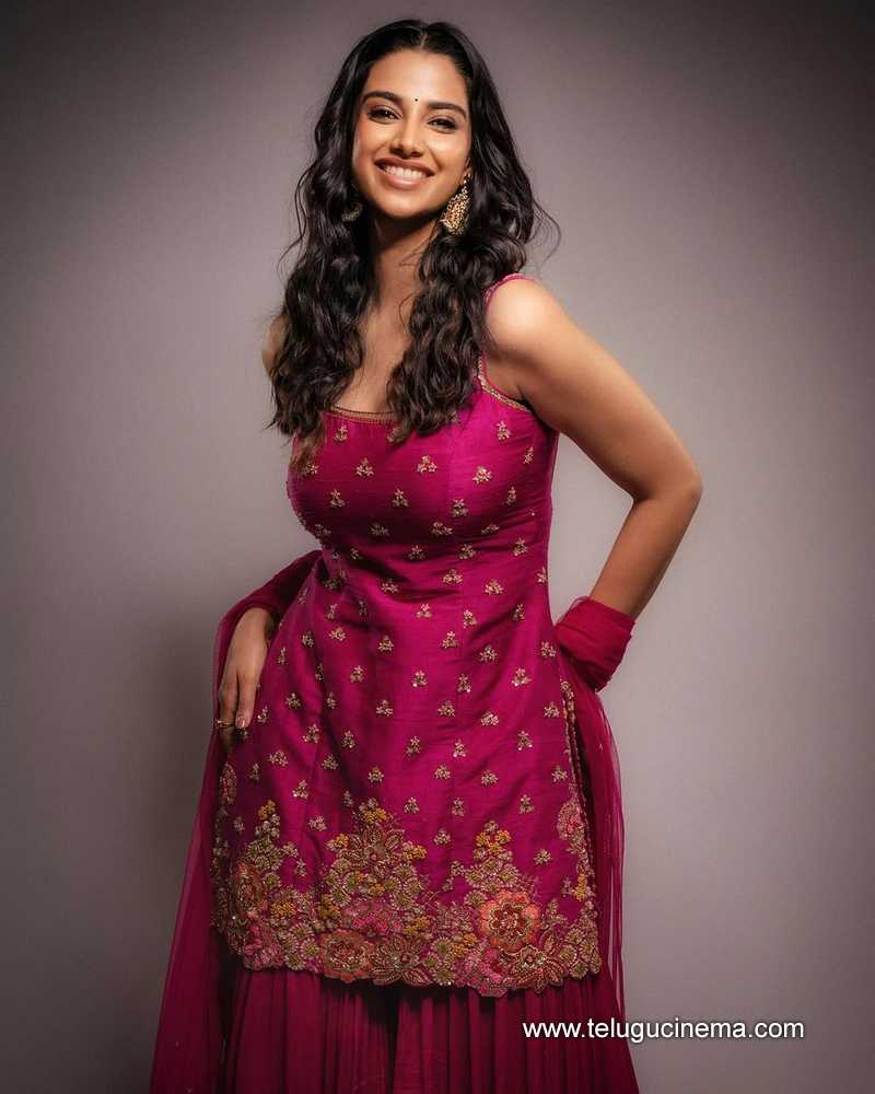 meenakshi stills 280824 02