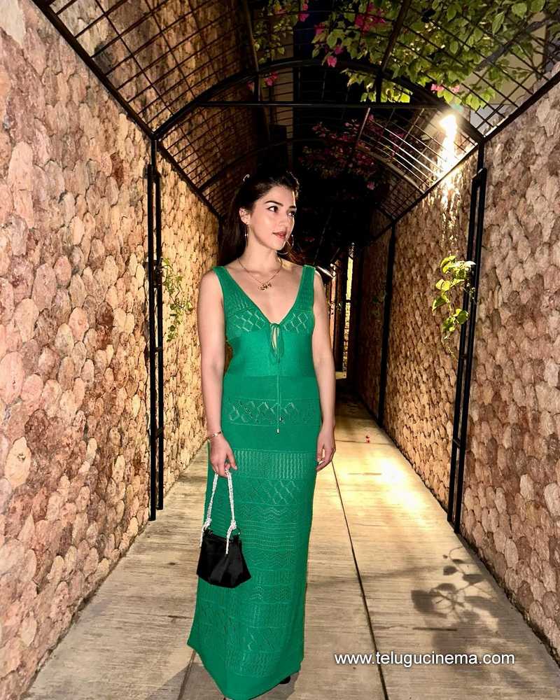 mehreen stills 100824 08
