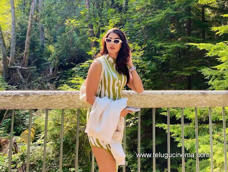 poojahegde stills 310824 02