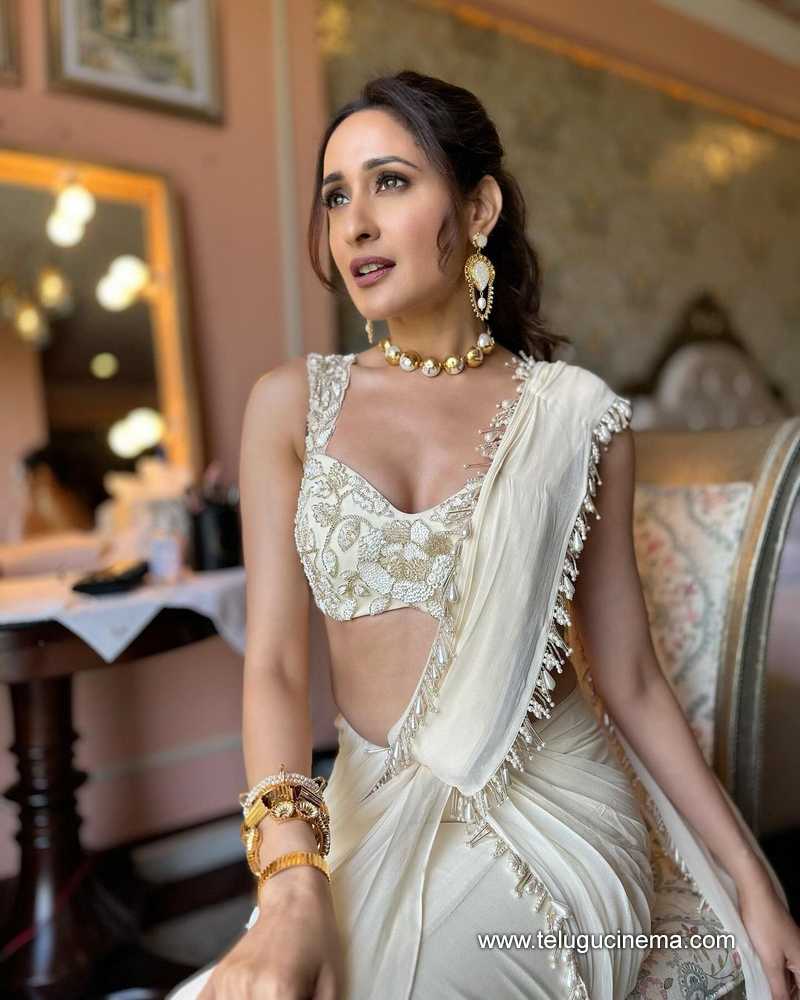 pragya stills 310824 04