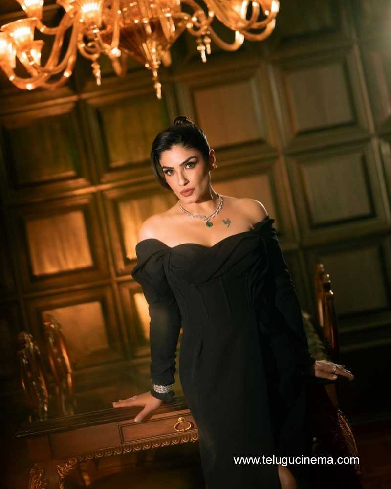 raveena stills 010824 10