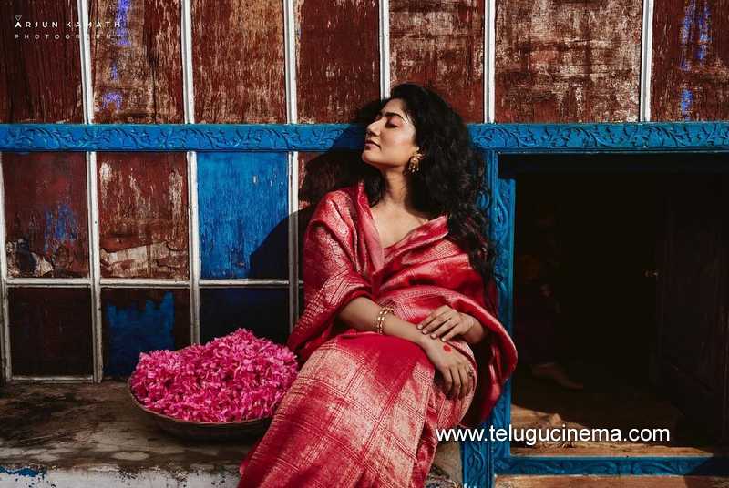 saipallavi stills 100824 02